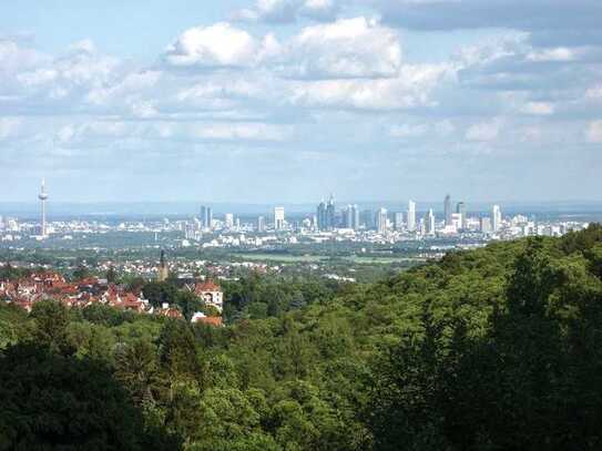 Serviced Appartment mit genialer Aussicht in Bestlage (Erstbezug)