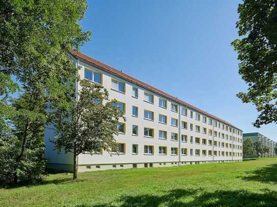 Einziehen, wohlfühlen & 500 EUR sichern – Ihre neue 2-Zimmer-Wohnung in Dessau-Roßlau!