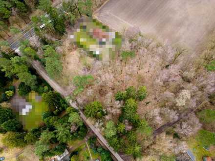 Nachhaltiges Leben im Grünen: Waldgrundstück in Kakenstorf