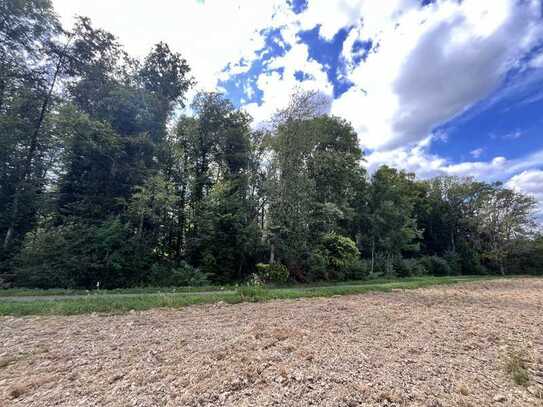 Waldgrundstück im Bieterverfahren