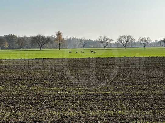 *Bauerwartungsland mit unverbautem Fernblick in Glaubitz / Grundstück teilbar*