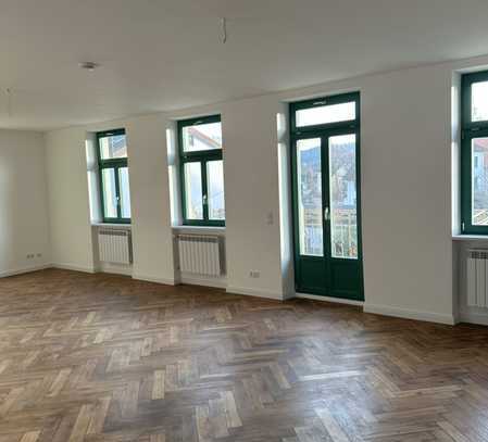 Großzügige 4-Zimmer-Altbauwohnung Erstbezug nach Sanierung in Uhldingen Mühlhofen