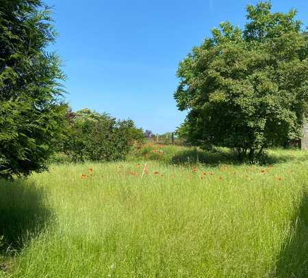 Großes Grundstück mit Altbestand und Neubaupotential - Idylle im Umkreis von Berlin