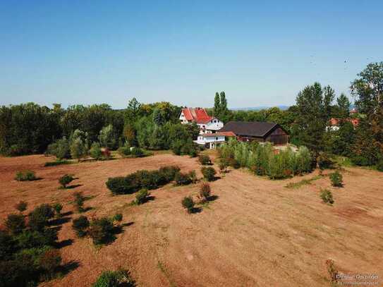 *Rarität * Ehemaliges Schloss mit 27.000 m² Grund für vielseitige Nutzungen