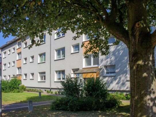 Mein Zuhause in Essen