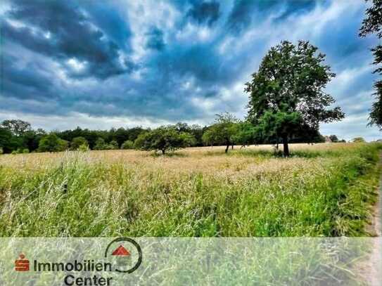 Wiesen und Waldflächen im Mettlach-Weiten