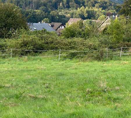 Baugrundstück in toller Lage (51467 Bergisch Gladbach)