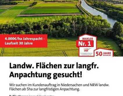 Wir suchen im Kundenauftrag landw. Flächen in Nds oder NRW.