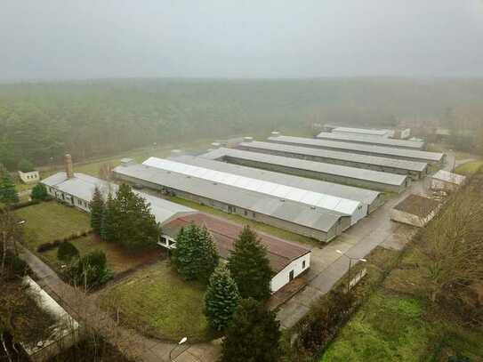 Grosszügige Lager /- Produktionshallen mit separatem Bürogebäude an guter Lage in Storkow.