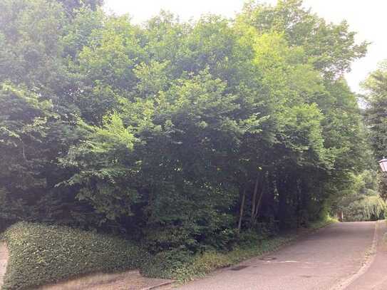 Grundstück in idyllischer Umgebung von Badenweiler - Verkauf im Bieterverfahren