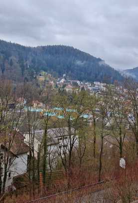 SCHÖNE NEUE 3 ZIMMER WOHNUNG MIT RIESEN BALKON