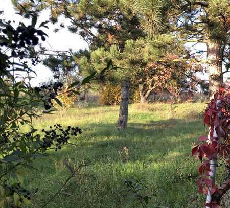 Einfamilienhaus mit ca. 1.790,00 m² großer Wiese in ländlicher Lage von Querfurt