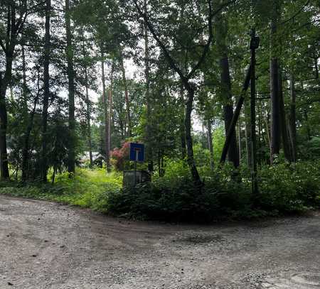 Grundstück fußläufig zum Bötzsee in ruhiger und naturbelassener Lage