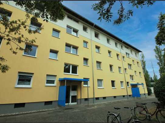 2 Zimmer in Bischofsheim