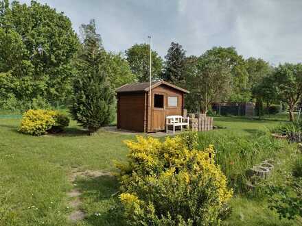 Charmante 3-Zimmer-Wohnung mit Garten in Broistedt! 2021 Kernsaniert!