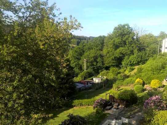 Schöner wohnen mit tollem Weitblick, große Dachterrasse, vollständig saniert...