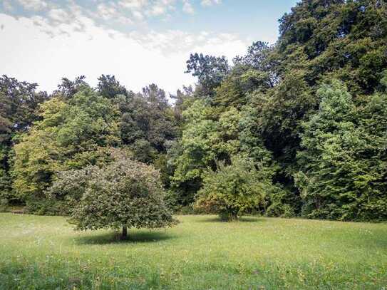 Erschlossenes Baugrundstück für Ihr Einfamilienhaus in Vogelsdorf - Baureif und vermessen