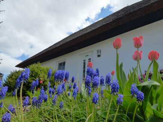 16.5. UND 17.5. BESICHTIGUNG MÖGLICH! ERDWÄRME-REETHAUS MIT KAMIN & SAUNA & CARPORT! FELDRANDLAGE!