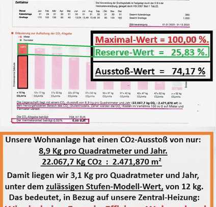 1 Zi. Wohnung. Morgen-Sonne. Seitlicher Blick auf den Main. Energie-Effizienttnt