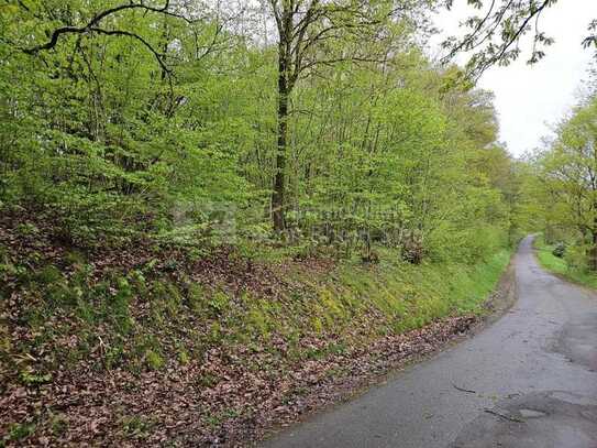 Baugrundstück mit Blick auf Windeck-Rosbach!