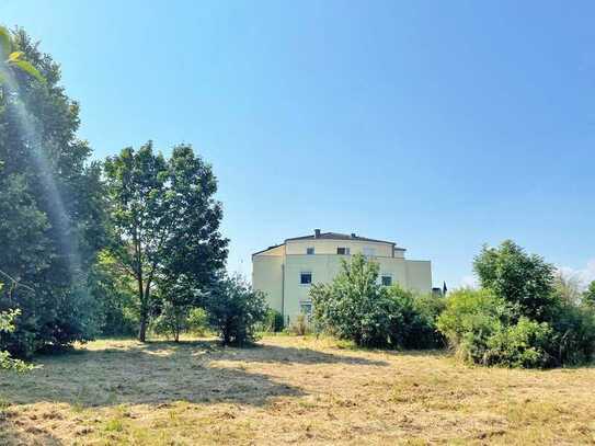 Gepflegtes Appartment mit Balkon und Einbauküche