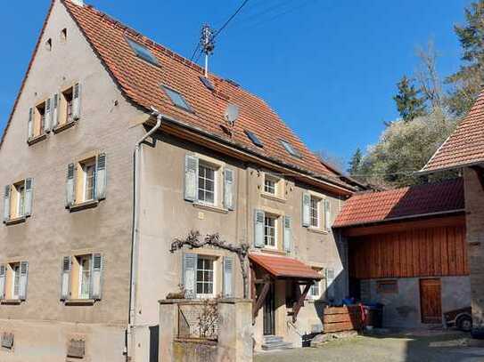 Renovierte 2-Etagen-Mietwohnung in altem Herrenhaus