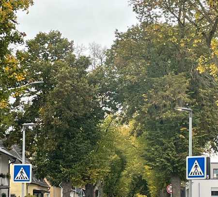 Bergheim, helle 3 Zimmer-Neubau-Wohnung mit Terrasse in Waldnähe