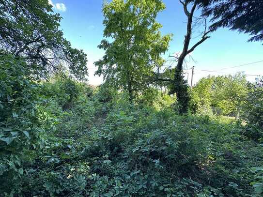 Dornröschen wartet aufs Wachküssen im Garten, Kleingarten mit großem Gartenhaus in Charlottenburg