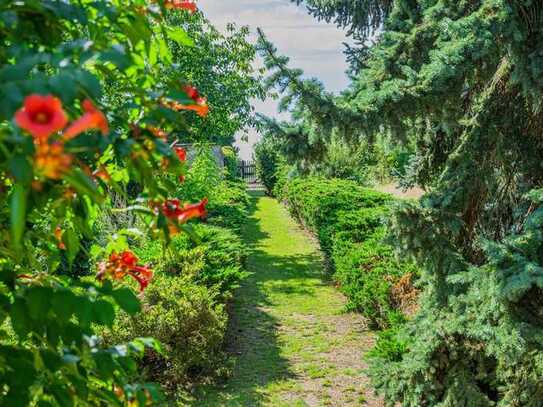 Kleiner Wohnbungalow mit Riesen-Garten am Rand des Dautzsch in Halle