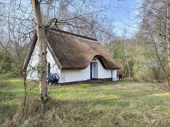 Ihr Ferienhaus auf Hiddensee