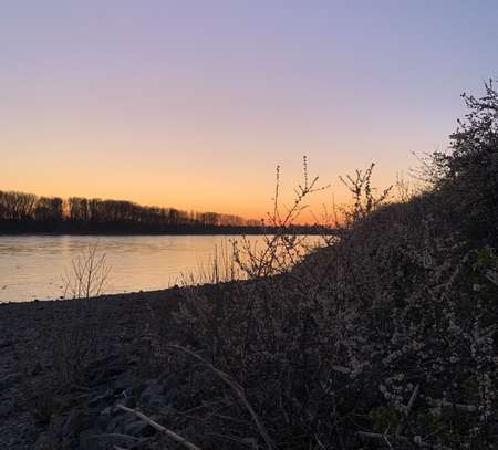 Den Rhein im Blick: 5-Zimmer-Wohnung mit Terasse und Gartennutzung in Rheidt