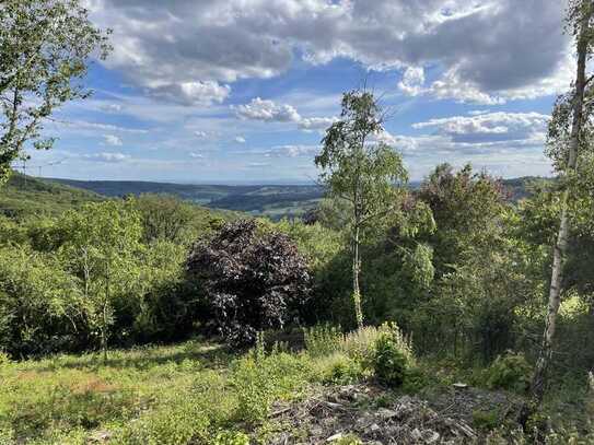 Baugrundstück mit einem traumhaften Blick über den Taunus