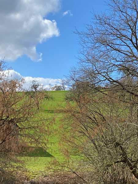                                                               3,5-Zimmer Wohnung mit gro&szlig;er Terrasse im 1.OG in G&ouml;ppingen-Holzheim                                                       in Holzheim (Donau-Ries)