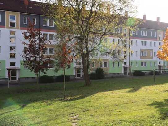 Kleines herbstliches Intermezzo *Schön wohnen im Flemminggebiet