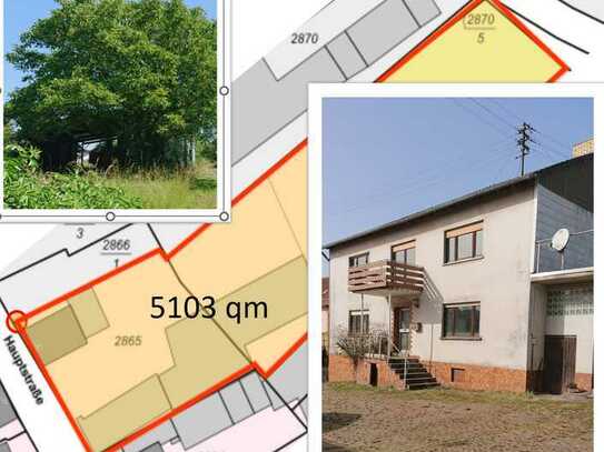 Bauernhaus mit Nebengebäude - XXL Riesen - Baugrundstück mit vielen Möglichkeiten