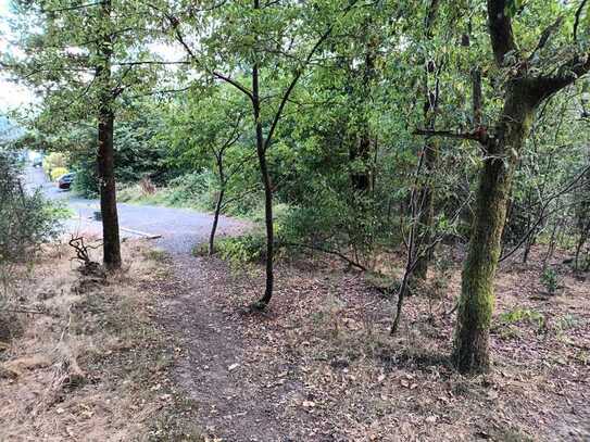 Attraktives Baugrundstück in ruhiger Hanglage in Betzdorf