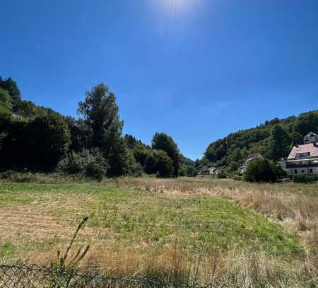 +++ Für Naturliebhaber und Bauherren: 23432 m² fast ebenes und sonniges Grundstück mit Bachlauf +++