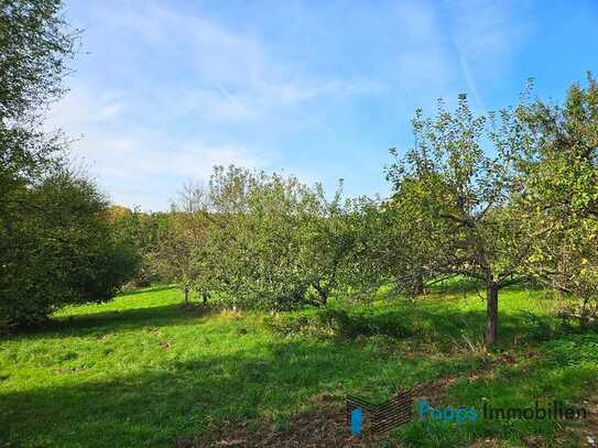 Idyllisch gelegenes Grundstück mit Obstbäumen