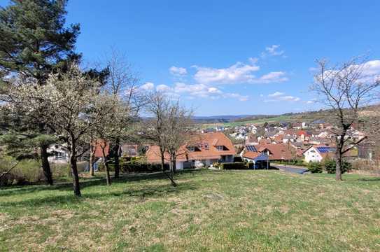 Bauplatz ohne Bauzwang in 97877 Wertheim Lindelbach
