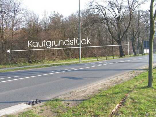 Die letzten 2 Gewerbegrundstücke in Gifhorn. Beide in absoluter Bestlage