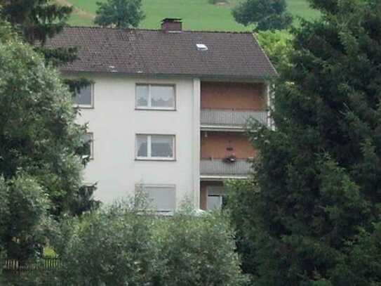 Erdgeschosswohnung im schönen Banfe