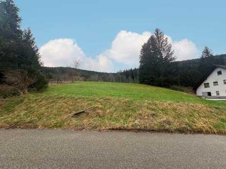 Großzügiges Baugrundstück in Alpirsbach-Ehlenbogen