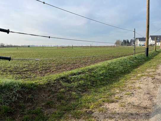 Baugrundstück in Werneuchen (OT Krummensee)