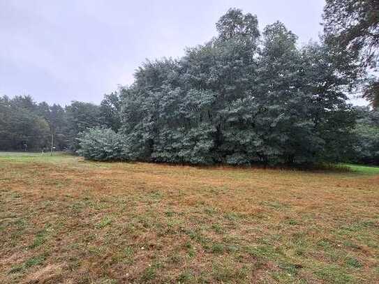 Wald- und Forstfläche in Elbe-Parey OT Zerben zu verkaufen…