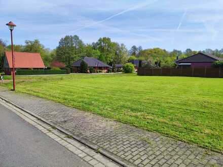 Alles neu macht TAFF-Haus! Euer energieeffizientes TAFF-Haus im schönen Bad Muskau mit Grundstück