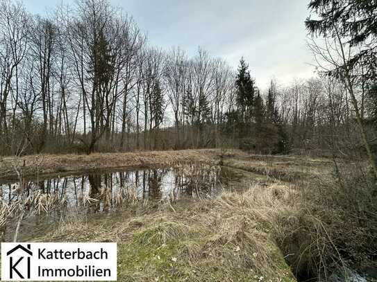 5 Fischteiche auf großem Grundstück in Seesen am Harz