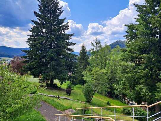 Einmaliges Appartement mit toller Schwarzwald-Aussicht in Baiersbronn mit Schwimmbad