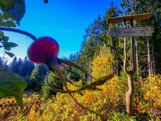 Neu renoviertes "Thüringer Wald Hotel" mit ca. 30 Zimmern