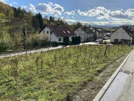 2 Wohnbaugrundstücke in herrlicher Ortsrandlage