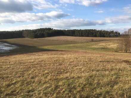 Landwirtschaftliche Nutzflächen im Bereich Priesitz